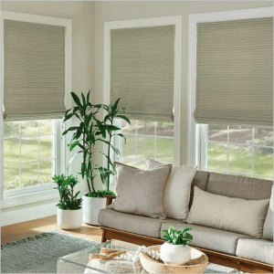 Grass colored window shades in casual contemporary family room